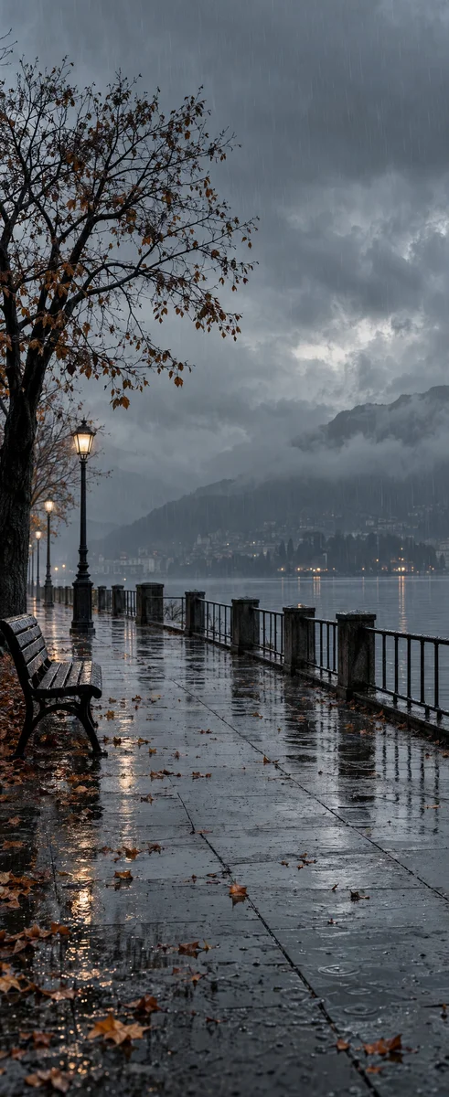 rainy street · wet pavement · overcast sky
