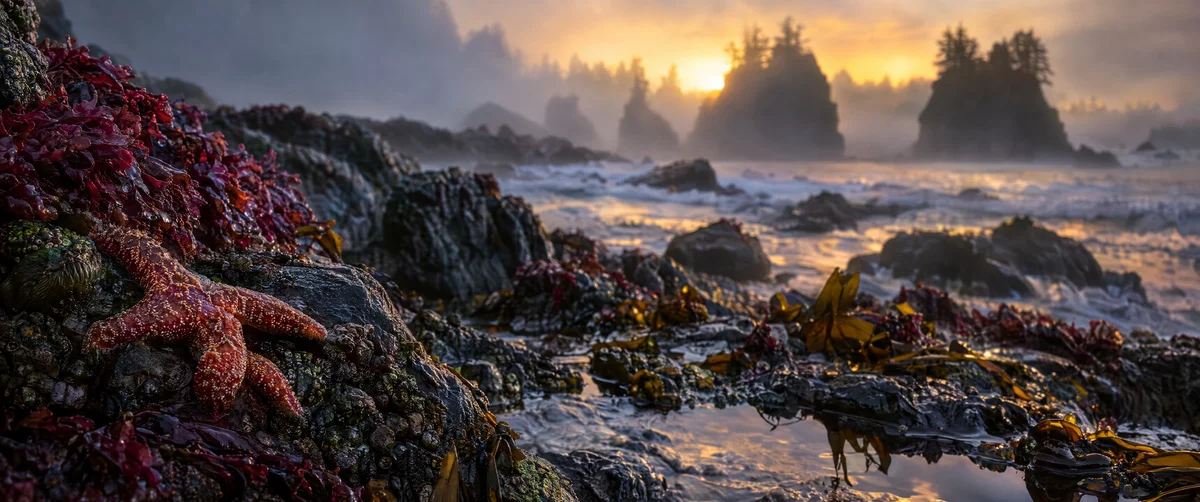 coastline · seascape · rocks